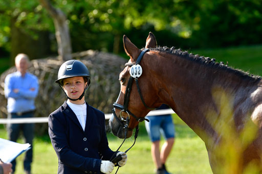 Goldene Schärpe Ponys in Hohen Luckow 1-4.6.23 | 04062023 -  Vormustern _174 