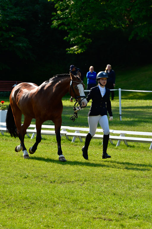 Goldene Schärpe Ponys in Hohen Luckow 1-4.6.23 | 04062023 -  Vormustern _176 