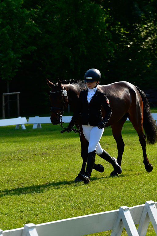 Goldene Schärpe Ponys in Hohen Luckow 1-4.6.23 | 04062023 -  Vormustern _179 