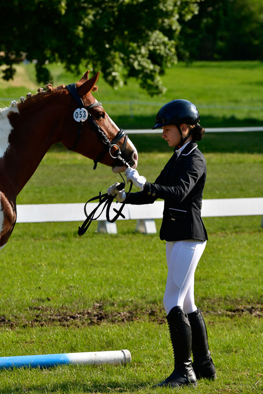 Goldene Schärpe Ponys in Hohen Luckow 1-4.6.23 | 04062023 -  Vormustern _184 