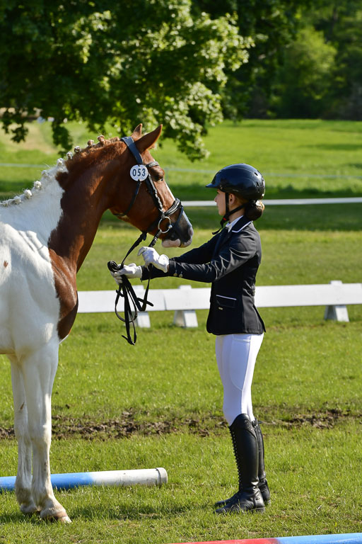 Goldene Schärpe PFerde in Hohen Luckow 1-4.6.23 | 04062023 -  Vormustern _185 