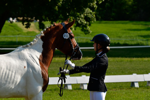 Goldene Schärpe Ponys in Hohen Luckow 1-4.6.23 | 04062023 -  Vormustern _186 