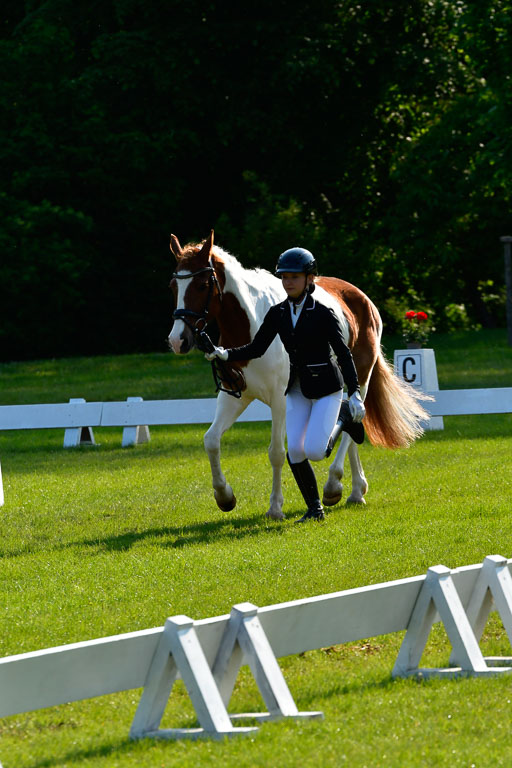 Goldene Schärpe Ponys in Hohen Luckow 1-4.6.23 | 04062023 -  Vormustern _187 