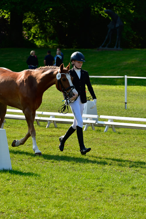 Goldene Schärpe Ponys in Hohen Luckow 1-4.6.23 | 04062023 -  Vormustern _192 