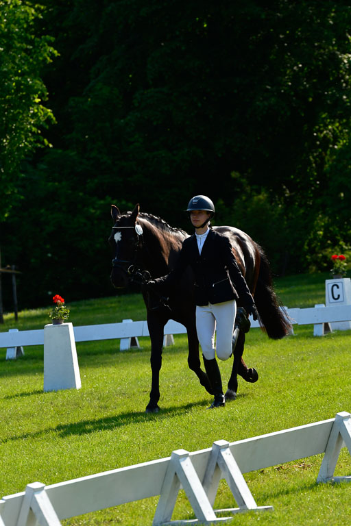 Goldene Schärpe Ponys in Hohen Luckow 1-4.6.23 | 04062023 -  Vormustern _193 