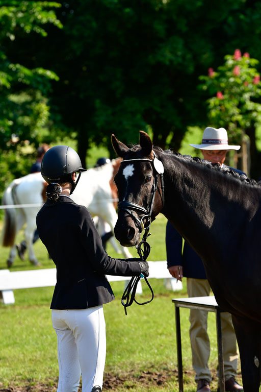 Goldene Schärpe Ponys in Hohen Luckow 1-4.6.23 | 04062023 -  Vormustern _194 