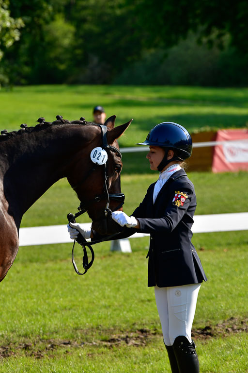 Goldene Schärpe Ponys in Hohen Luckow 1-4.6.23 | 04062023 -  Vormustern _195 