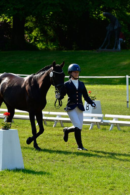Goldene Schärpe Ponys in Hohen Luckow 1-4.6.23 | 04062023 -  Vormustern _198 