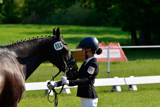 Goldene Schärpe Ponys in Hohen Luckow 1-4.6.23 | 04062023 -  Vormustern _203 