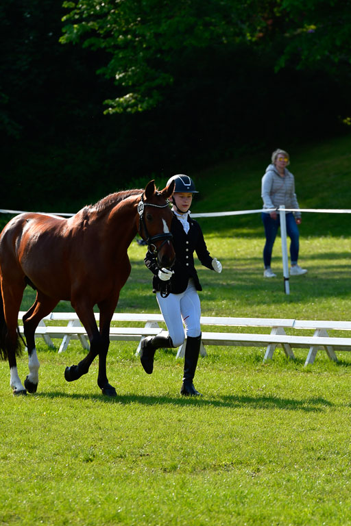 Goldene Schärpe Ponys in Hohen Luckow 1-4.6.23 | 04062023 -  Vormustern _206 