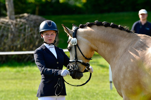 Goldene Schärpe Ponys in Hohen Luckow 1-4.6.23 | 04062023 -  Vormustern _208 