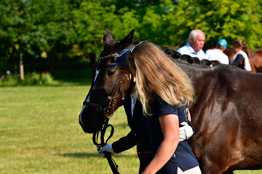 Goldene Schärpe Ponys in Hohen Luckow 1-4.6.23 | 04062023 -  Vormustern _212 