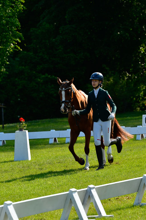 Goldene Schärpe Ponys in Hohen Luckow 1-4.6.23 | 04062023 -  Vormustern _215 