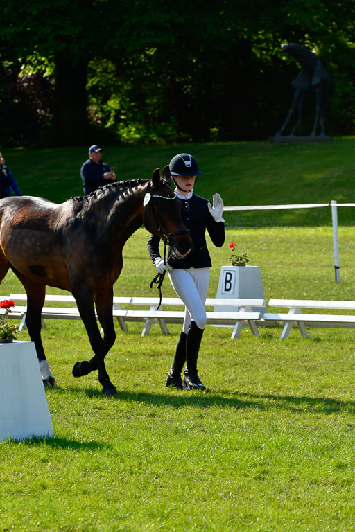 Goldene Schärpe Ponys in Hohen Luckow 1-4.6.23 | 04062023 -  Vormustern _216 