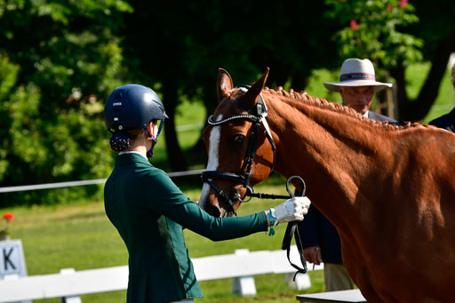 Goldene Schärpe Ponys in Hohen Luckow 1-4.6.23 | 04062023 -  Vormustern _217 