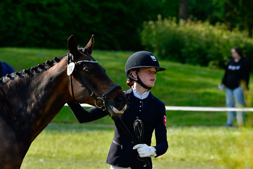 Goldene Schärpe Ponys in Hohen Luckow 1-4.6.23 | 04062023 -  Vormustern _219 