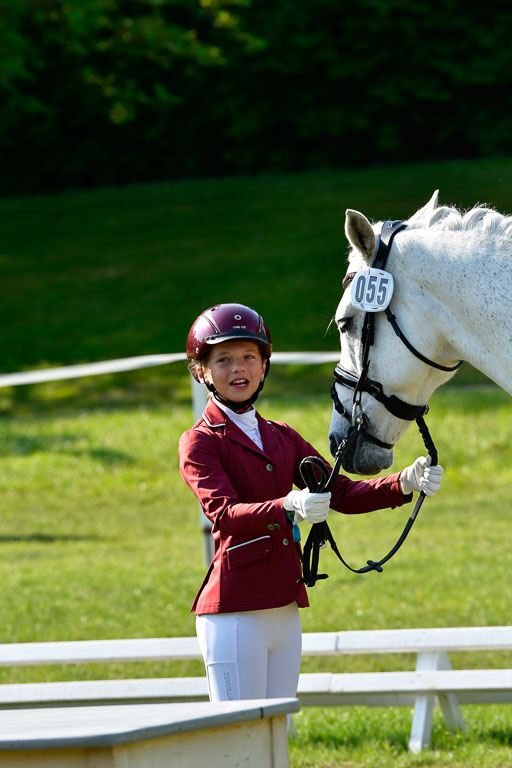 Goldene Schärpe Ponys in Hohen Luckow 1-4.6.23 | 04062023 -  Vormustern _221 