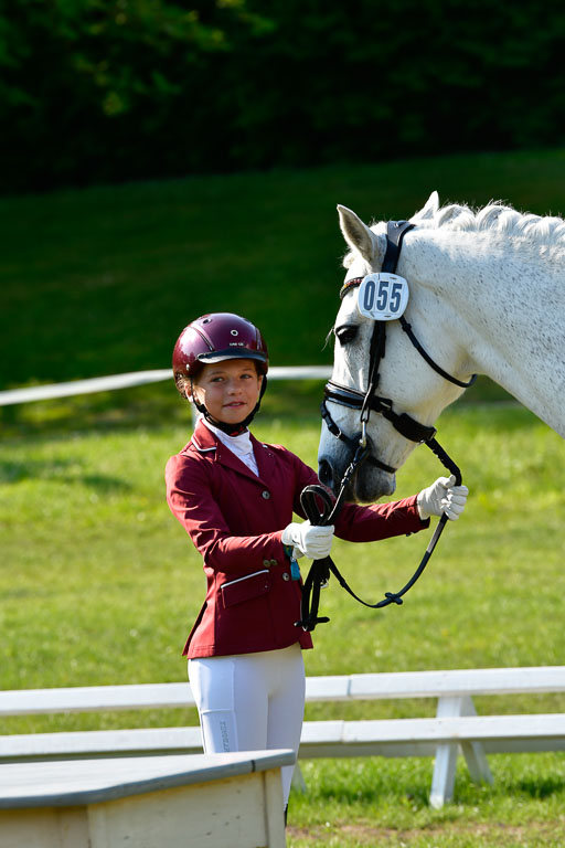 Goldene Schärpe PFerde in Hohen Luckow 1-4.6.23 | 04062023 -  Vormustern _222 