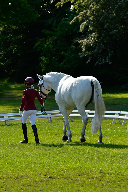 Goldene Schärpe Ponys in Hohen Luckow 1-4.6.23 | 04062023 -  Vormustern _223 