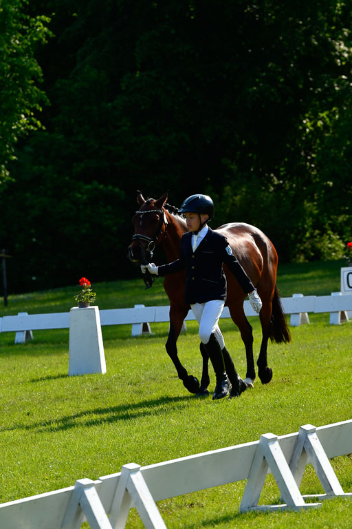 Goldene Schärpe Ponys in Hohen Luckow 1-4.6.23 | 04062023 -  Vormustern _224 