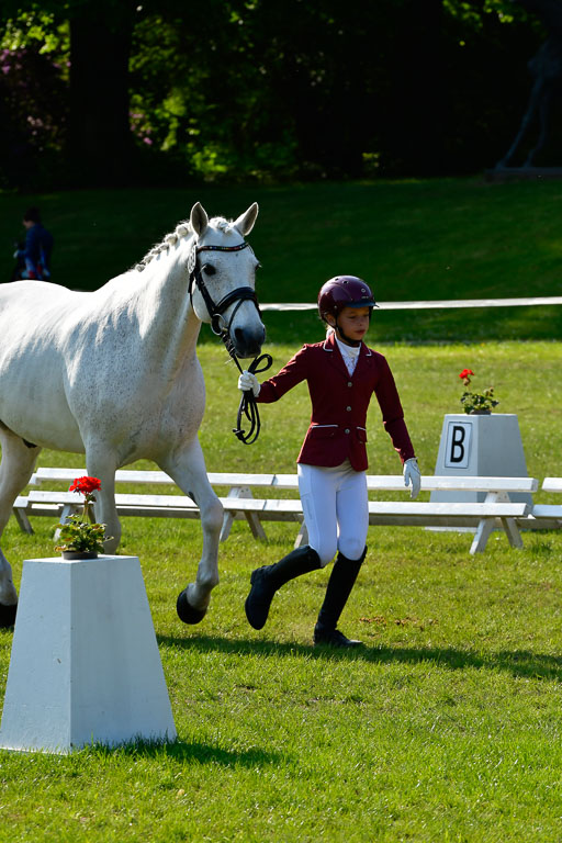 Goldene Schärpe Ponys in Hohen Luckow 1-4.6.23 | 04062023 -  Vormustern _225 