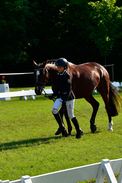 Goldene Schärpe Ponys in Hohen Luckow 1-4.6.23 | 04062023 -  Vormustern _227 