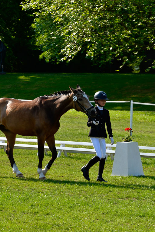Goldene Schärpe Ponys in Hohen Luckow 1-4.6.23 | 04062023 -  Vormustern _228 