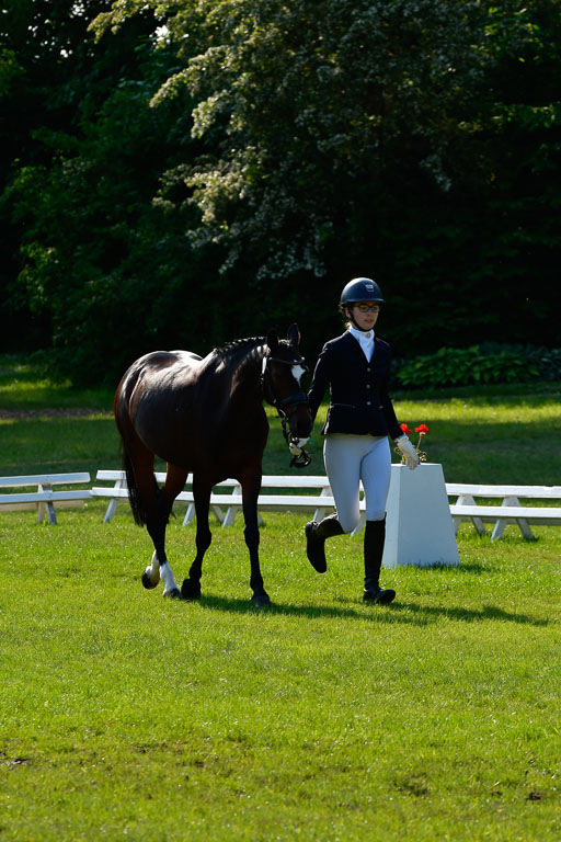 Goldene Schärpe Ponys in Hohen Luckow 1-4.6.23 | 04062023 -  Vormustern _230 