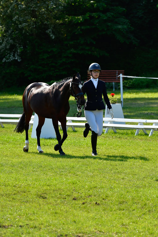 Goldene Schärpe Ponys in Hohen Luckow 1-4.6.23 | 04062023 -  Vormustern _231 