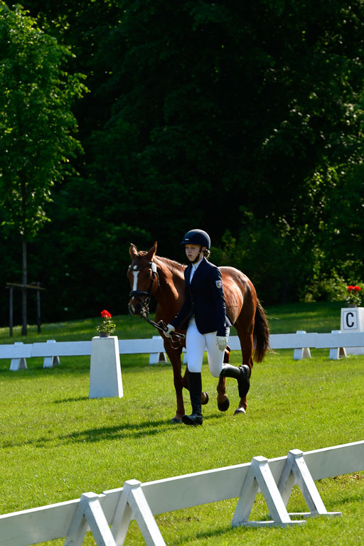 Goldene Schärpe Ponys in Hohen Luckow 1-4.6.23 | 04062023 -  Vormustern _233 