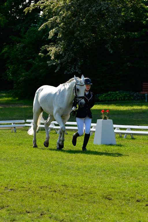 Goldene Schärpe Ponys in Hohen Luckow 1-4.6.23 | 04062023 -  Vormustern _236 