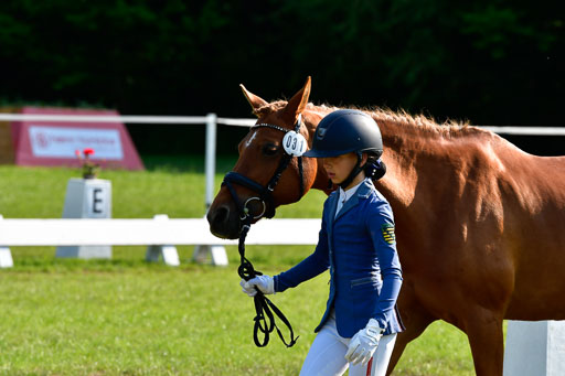 Goldene Schärpe Ponys in Hohen Luckow 1-4.6.23 | 04062023 -  Vormustern _239 