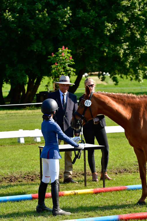 Goldene Schärpe Ponys in Hohen Luckow 1-4.6.23 | 04062023 -  Vormustern _240 