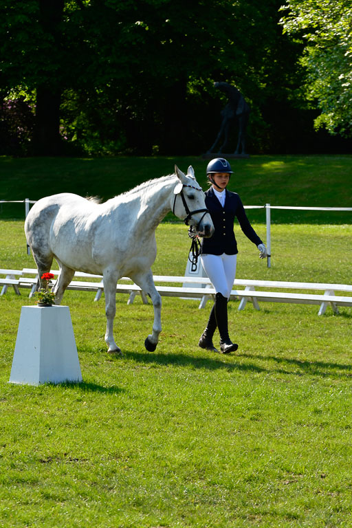 Goldene Schärpe Ponys in Hohen Luckow 1-4.6.23 | 04062023 -  Vormustern _241 