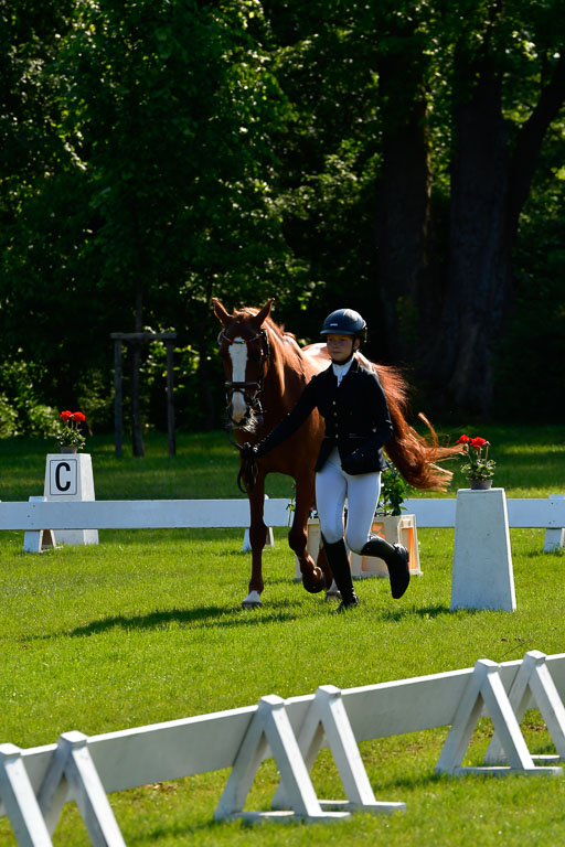 Goldene Schärpe Ponys in Hohen Luckow 1-4.6.23 | 04062023 -  Vormustern _242 