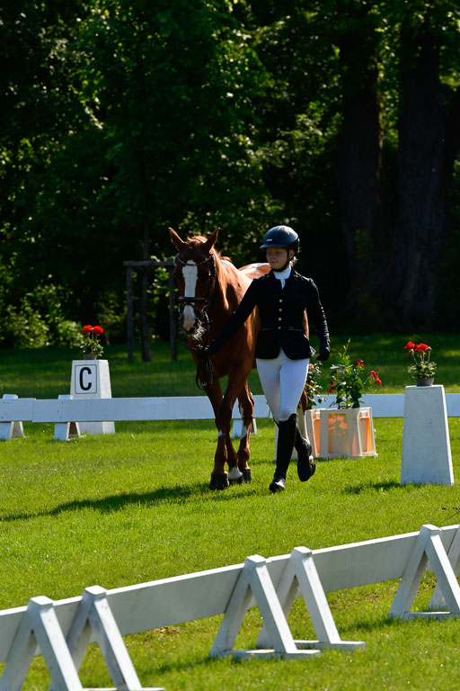 Goldene Schärpe Ponys in Hohen Luckow 1-4.6.23 | 04062023 -  Vormustern _243 