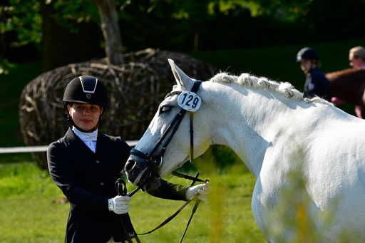 Goldene Schärpe Ponys in Hohen Luckow 1-4.6.23 | 04062023 -  Vormustern _244 