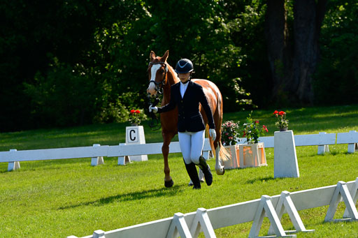 Goldene Schärpe Ponys in Hohen Luckow 1-4.6.23 | 04062023 -  Vormustern _247 
