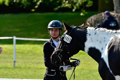 Goldene Schärpe Ponys in Hohen Luckow 1-4.6.23 | 04062023 -  Vormustern _248 
