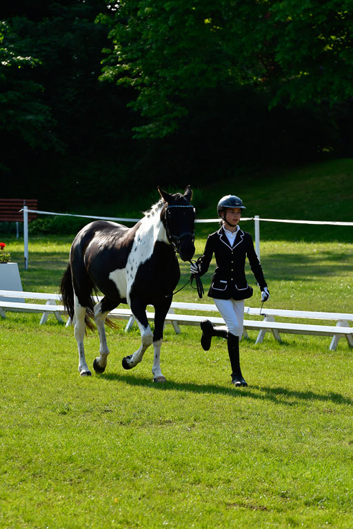 Goldene Schärpe Ponys in Hohen Luckow 1-4.6.23 | 04062023 -  Vormustern _250 