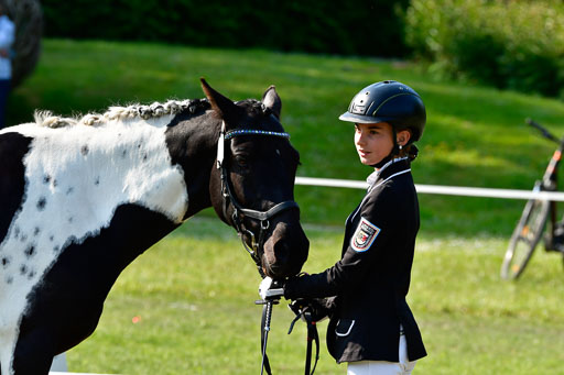 Goldene Schärpe Ponys in Hohen Luckow 1-4.6.23 | 04062023 -  Vormustern _252 