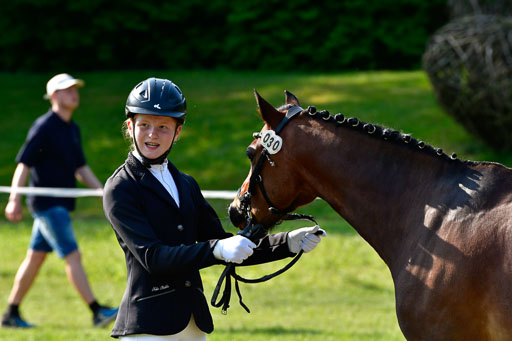 Goldene Schärpe Ponys in Hohen Luckow 1-4.6.23 | 04062023 -  Vormustern _254 