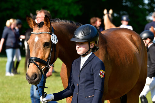 Goldene Schärpe Ponys in Hohen Luckow 1-4.6.23 | 04062023 -  Vormustern _258 