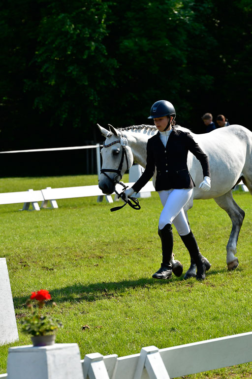 Goldene Schärpe Ponys in Hohen Luckow 1-4.6.23 | 04062023 -  Vormustern _260 