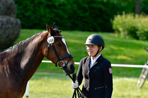 Goldene Schärpe Ponys in Hohen Luckow 1-4.6.23 | 04062023 -  Vormustern _261 