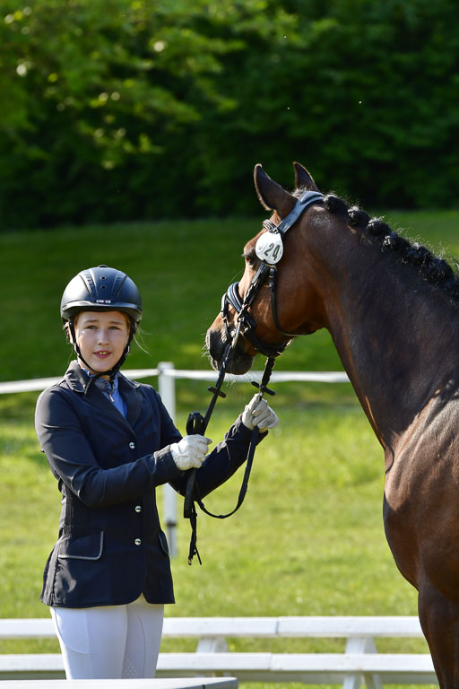 Goldene Schärpe PFerde in Hohen Luckow 1-4.6.23 | 04062023 -  Vormustern _265 