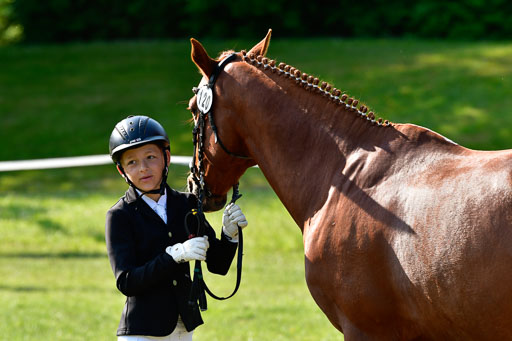 Goldene Schärpe Ponys in Hohen Luckow 1-4.6.23 | 04062023 -  Vormustern _271 