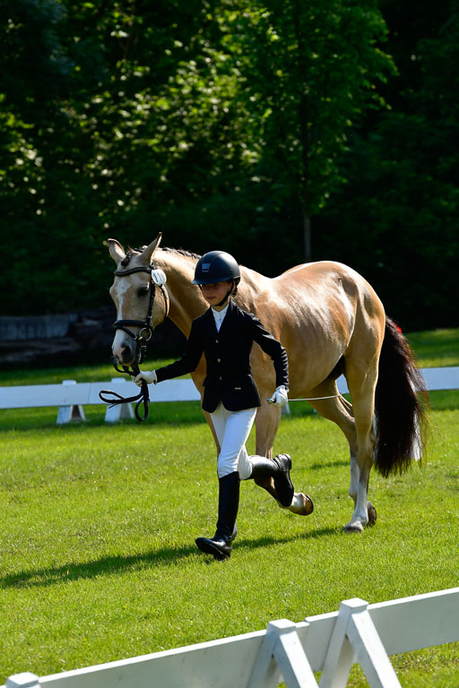 Goldene Schärpe Ponys in Hohen Luckow 1-4.6.23 | 04062023 -  Vormustern _272 