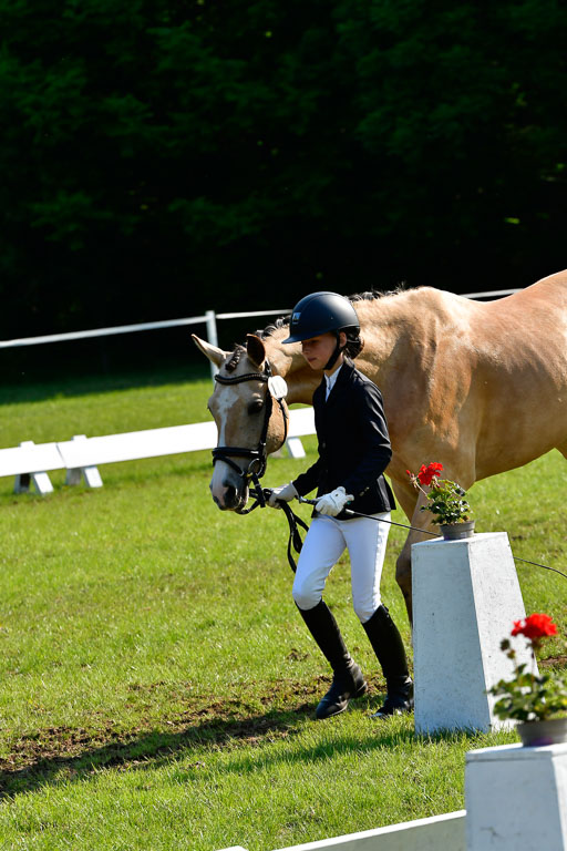 Goldene Schärpe Ponys in Hohen Luckow 1-4.6.23 | 04062023 -  Vormustern _273 