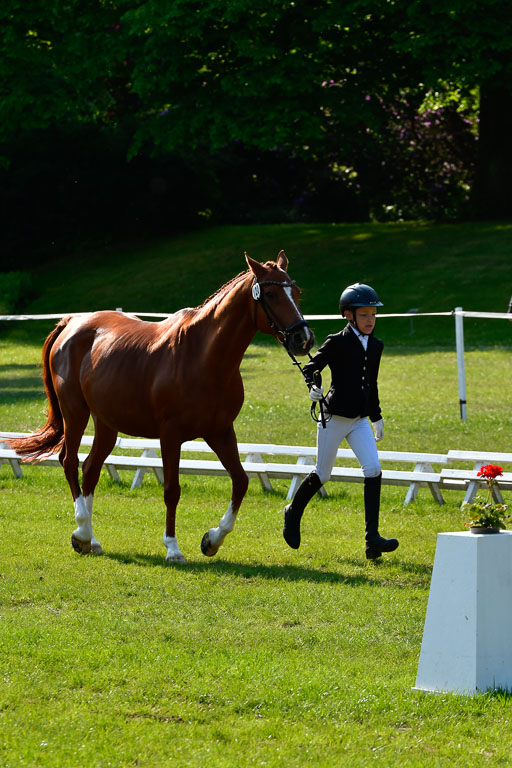 Goldene Schärpe Ponys in Hohen Luckow 1-4.6.23 | 04062023 -  Vormustern _274 